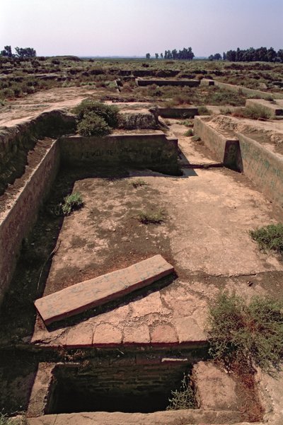 The Royal Tomb by Elamite